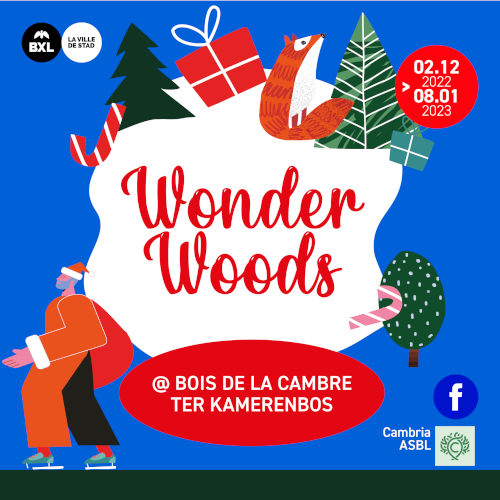 wonder_woods